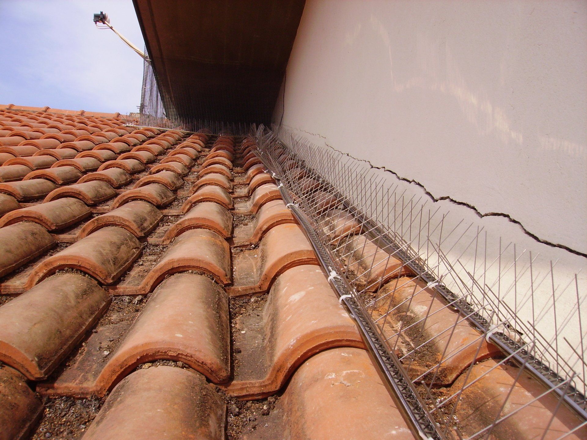 dissuasori per volatili