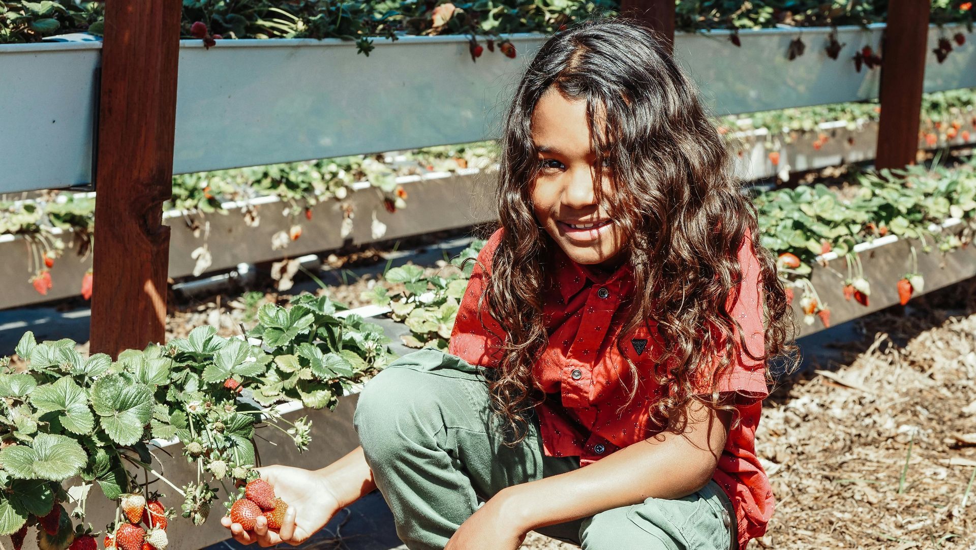 Girl growing tomatoes in garden
