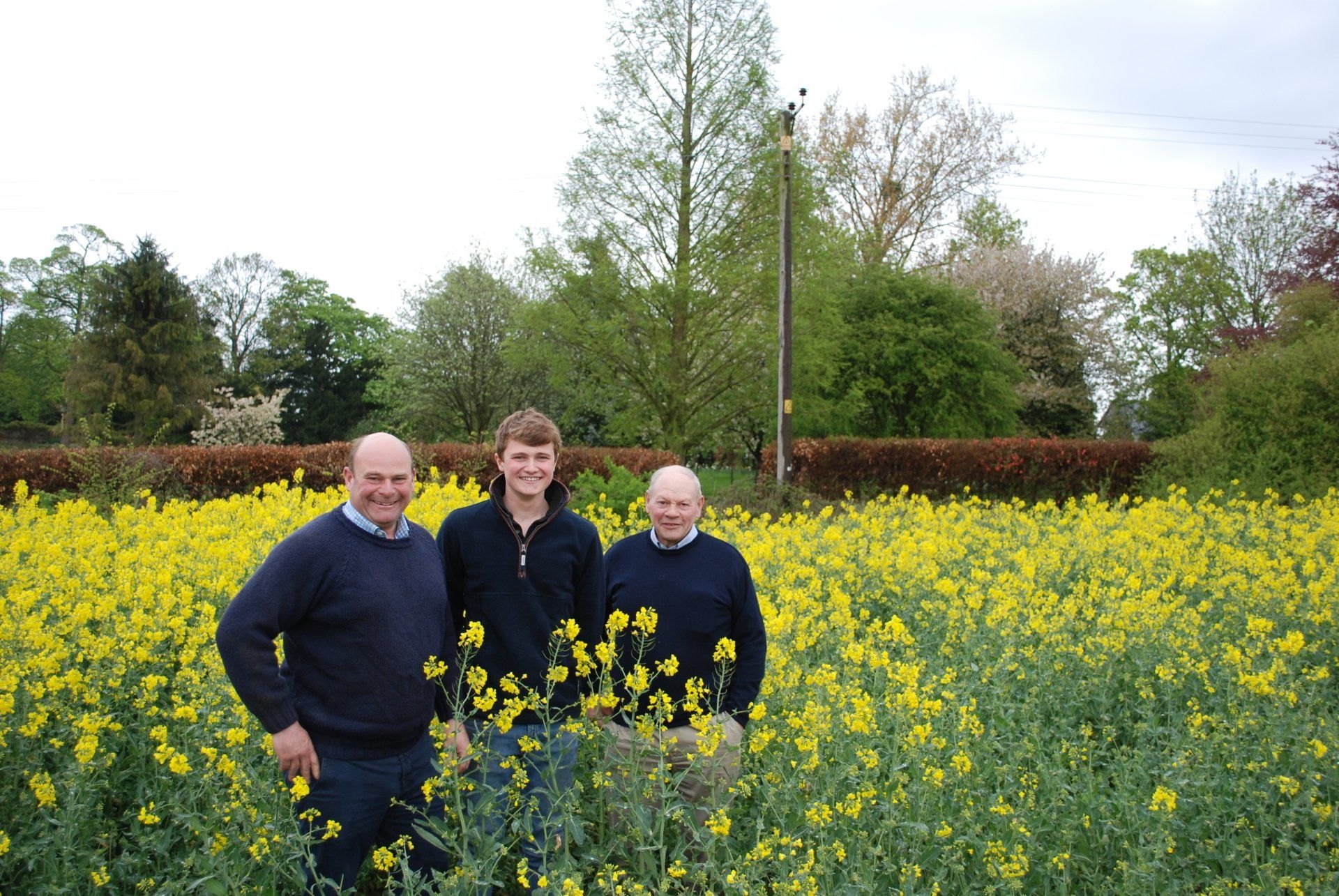 people standing in field of flowers