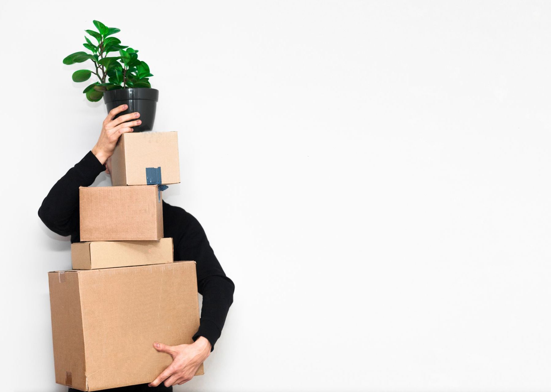 A person is holding a potted plant on top of a pile of cardboard boxes.