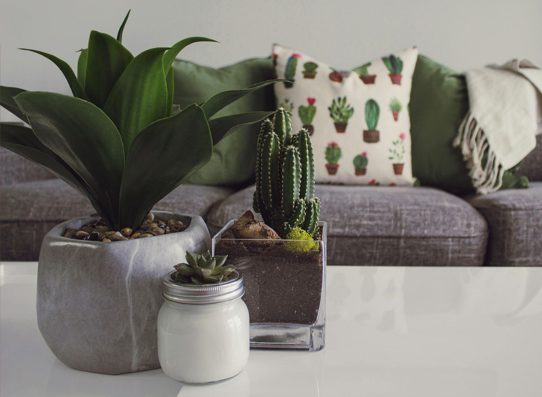 A living room with a couch and potted plants on a table.