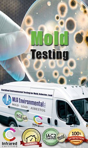 mold testing leads, mold inspection leads