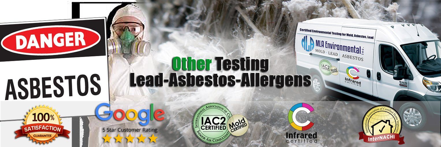 asbestos testing, asbestos abatement