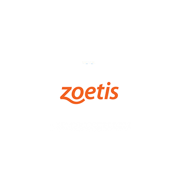 Zoetis logo in orange: the company name in a curved design, set against a white background.