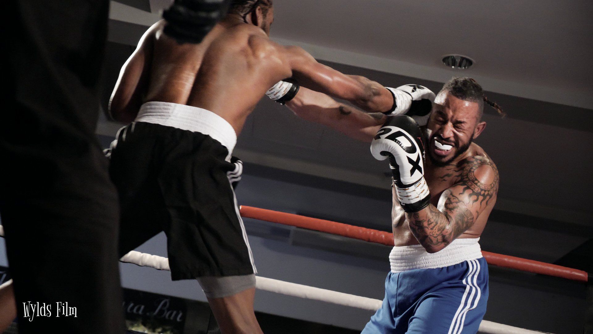 Selby Amateur Boxing Club boxers in the ring