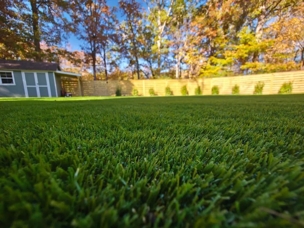 Low-angle view of lush green lawn with autumn trees and a shed in the background