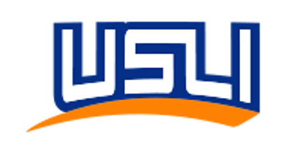 USLI logo in blue with an orange swoosh underneath