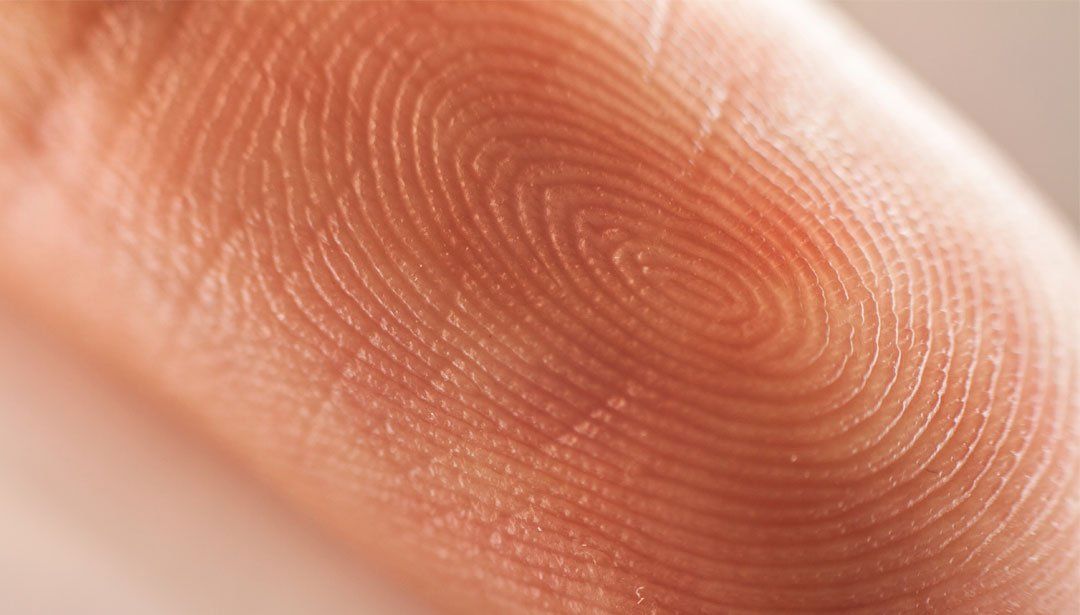 Die Ziele der Fingerabdruck-Analyse bestehen darin, Lebenssinn zu erkennen, zu verstehen und gezielt optimieren.