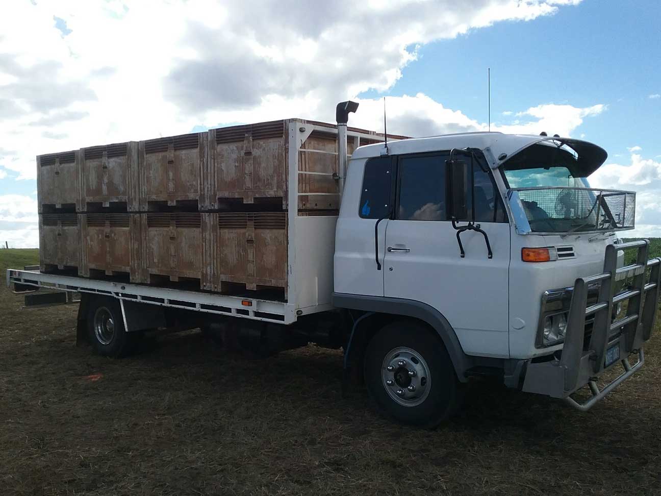 A white truck with wooden crates on the back is parked in a field