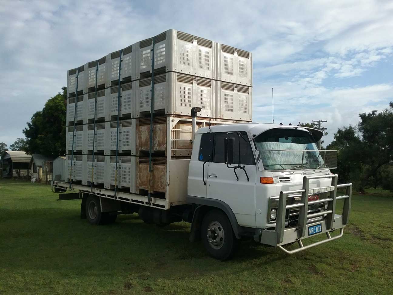 A white truck with crates on the back is parked in a grassy field