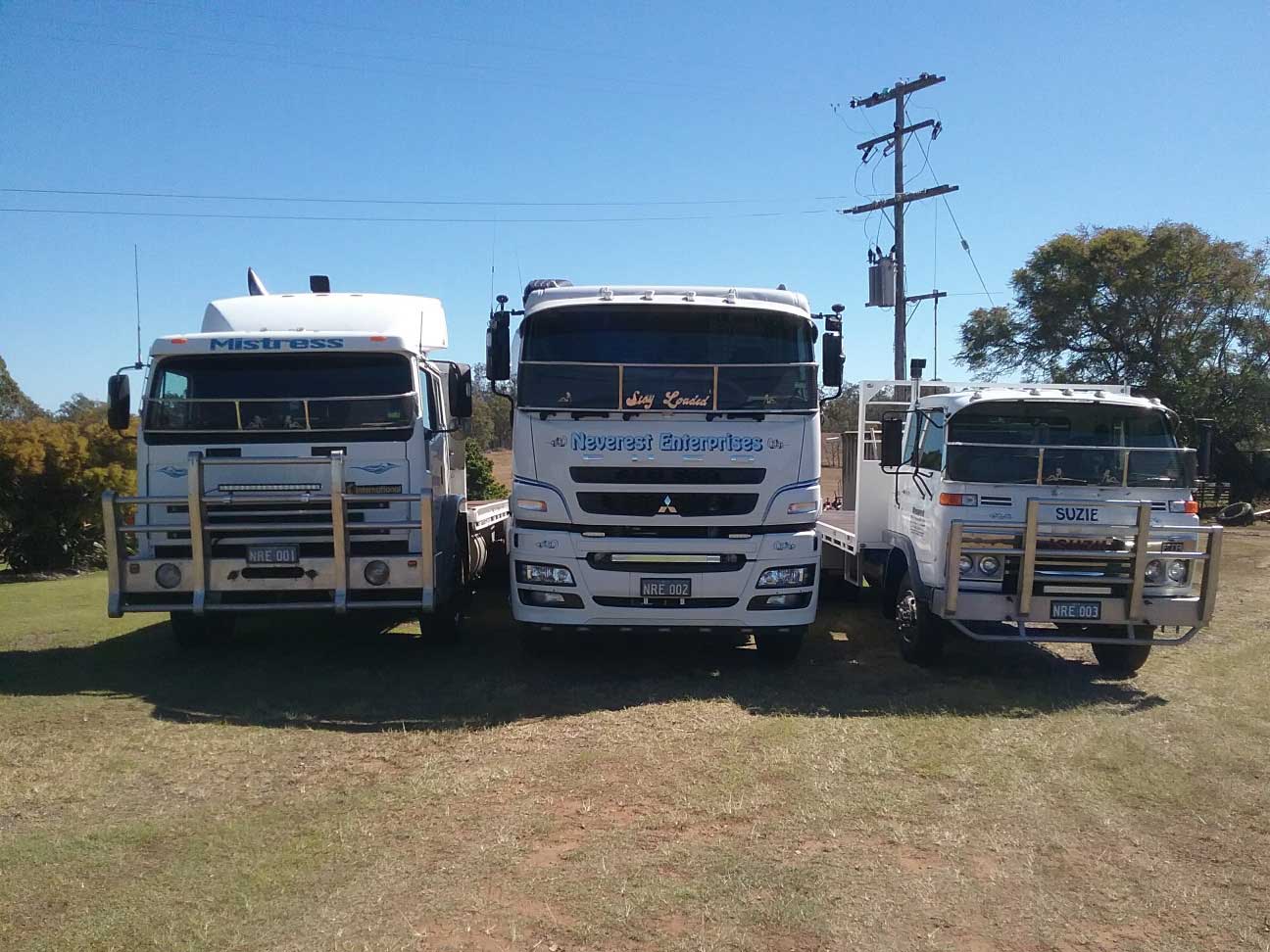 Three trucks are parked next to each other in a grassy field.