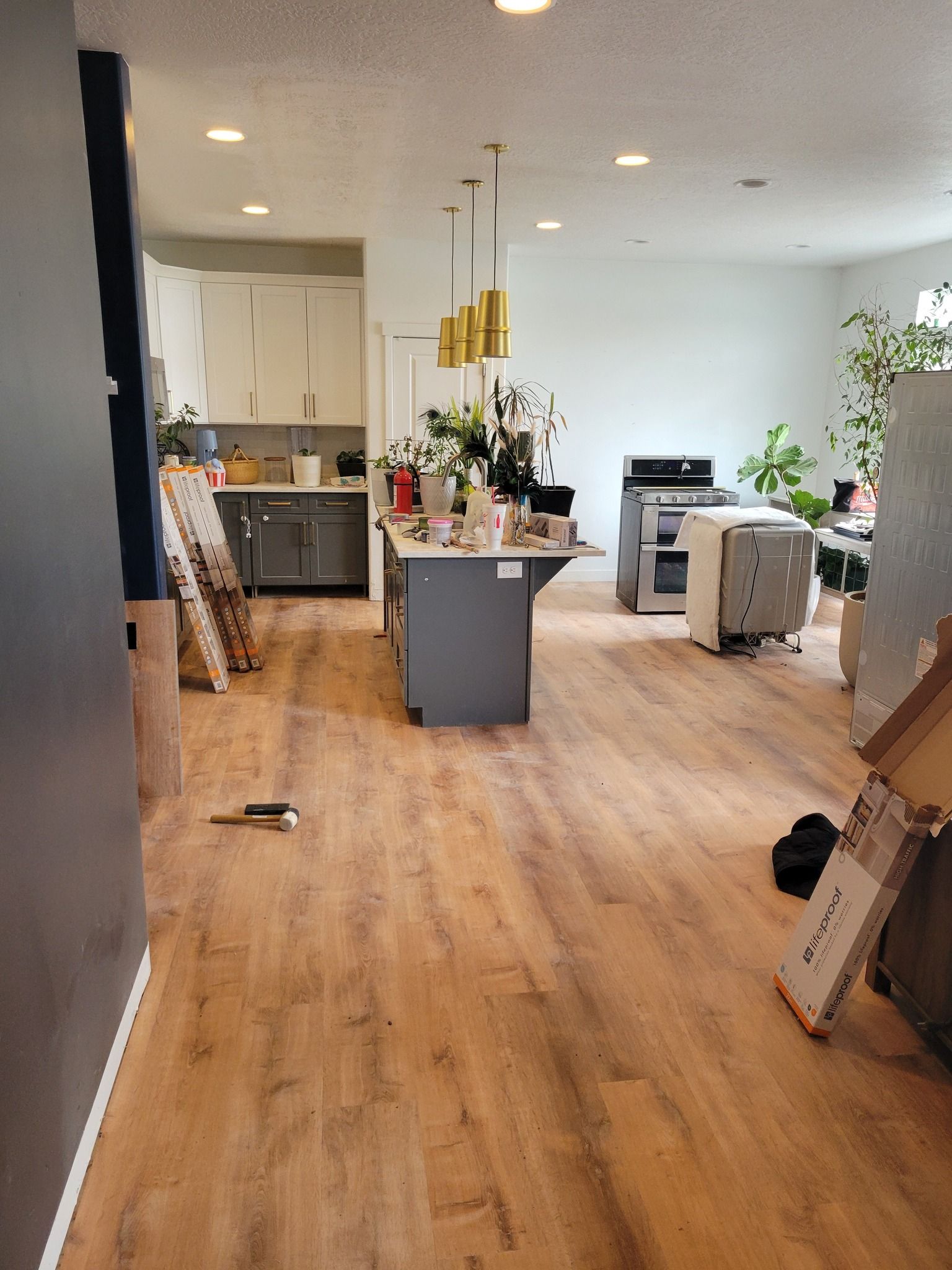 An open-concept kitchen and living area with wood-look flooring, a central gray island, white cabinets, and potted plants.