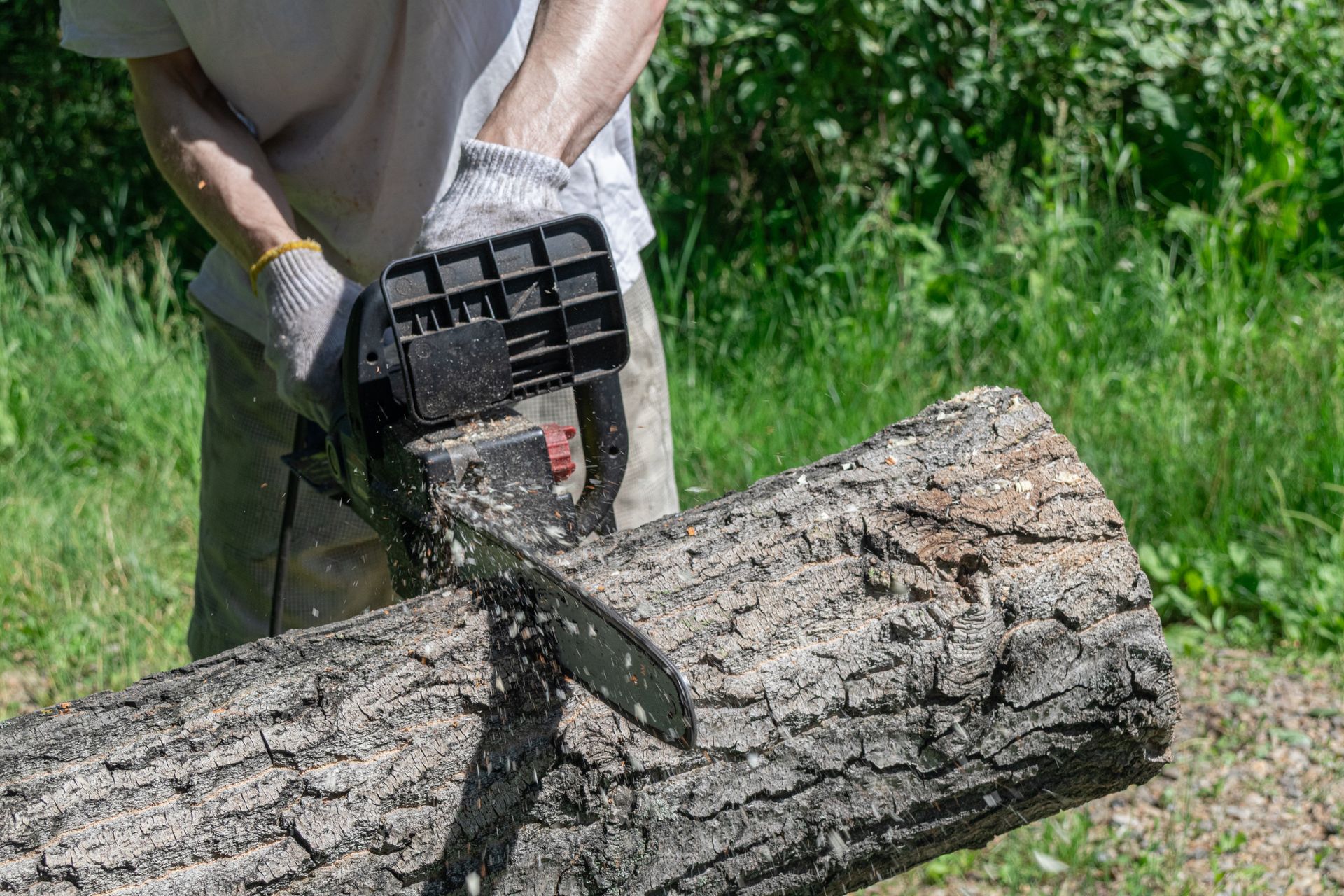 A man uses a chainsaw to cut a tree in a forest, preparing for stump removal services.