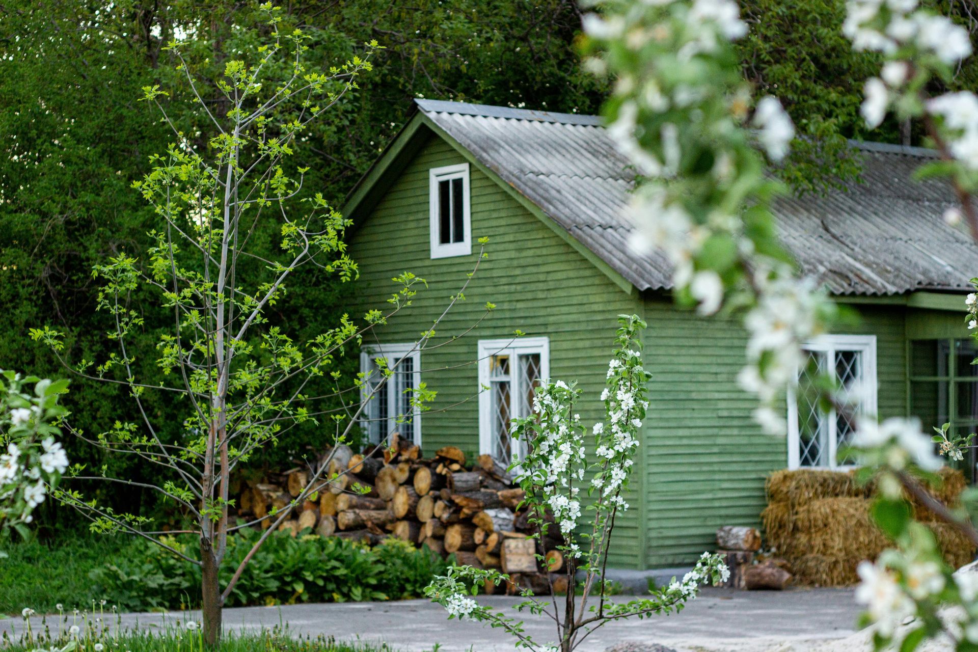 Green cottage with white trim and stacked firewood beside a wooded path