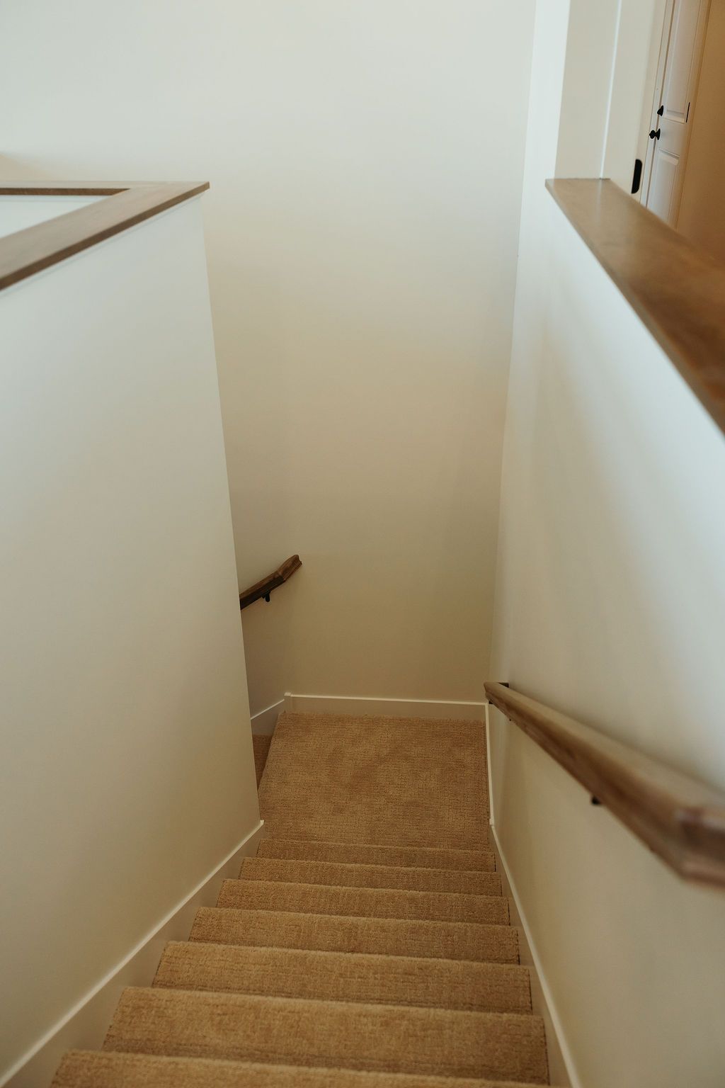 Staircase with beige carpet, white walls, and wooden handrails.