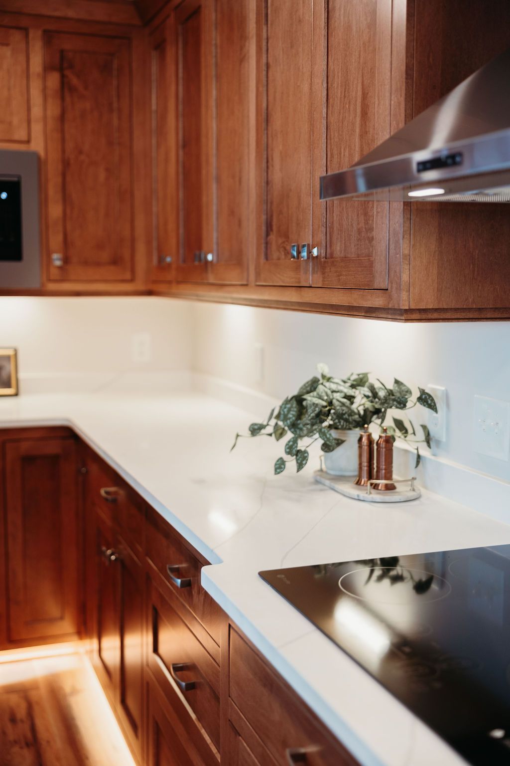 Kitchen with wood cabinets, white countertop, and a plant.