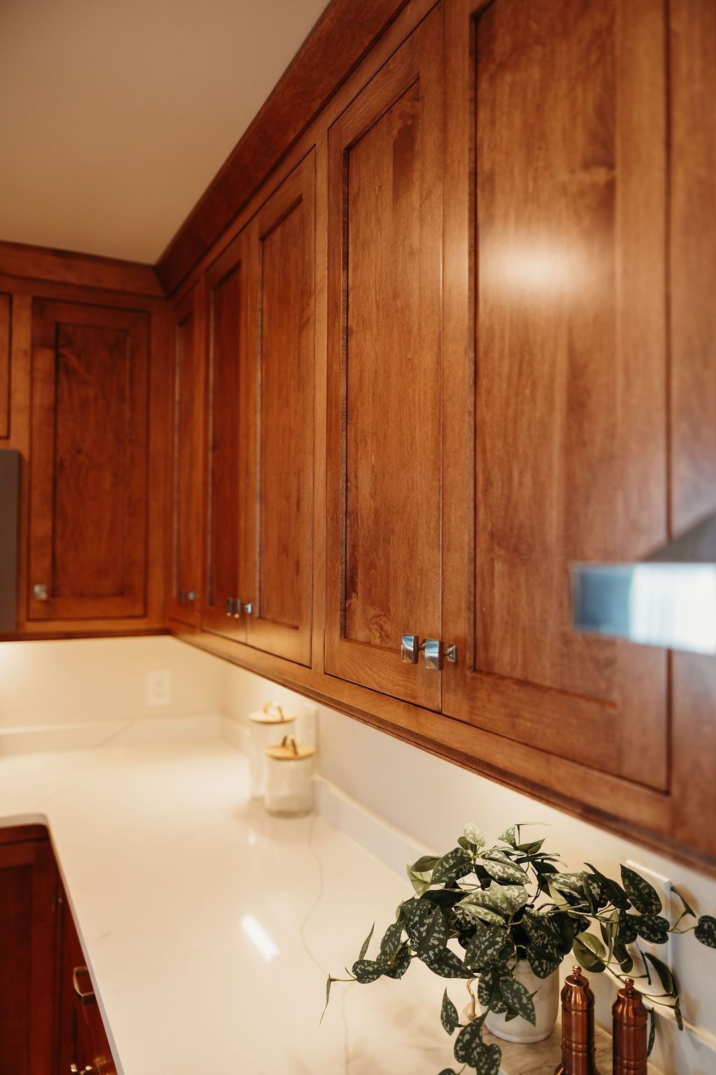 Wooden kitchen cabinets above a white countertop, with a plant in the foreground.