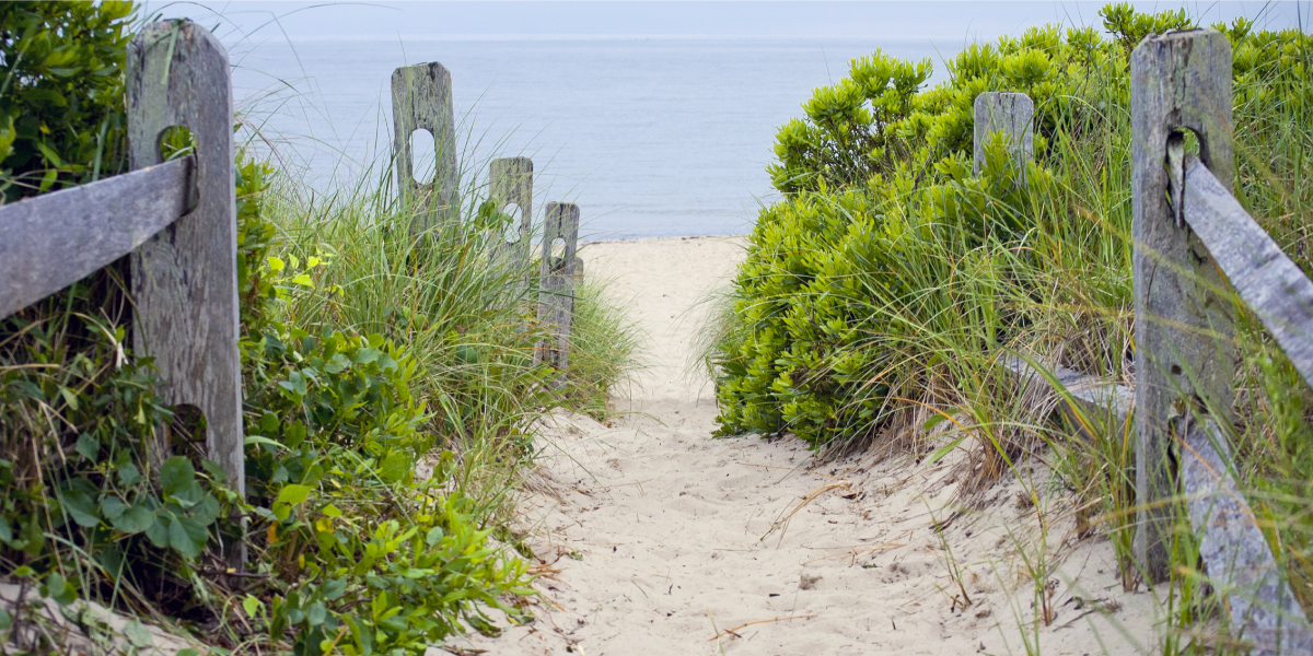 A path leading to the beach with a wooden fence.