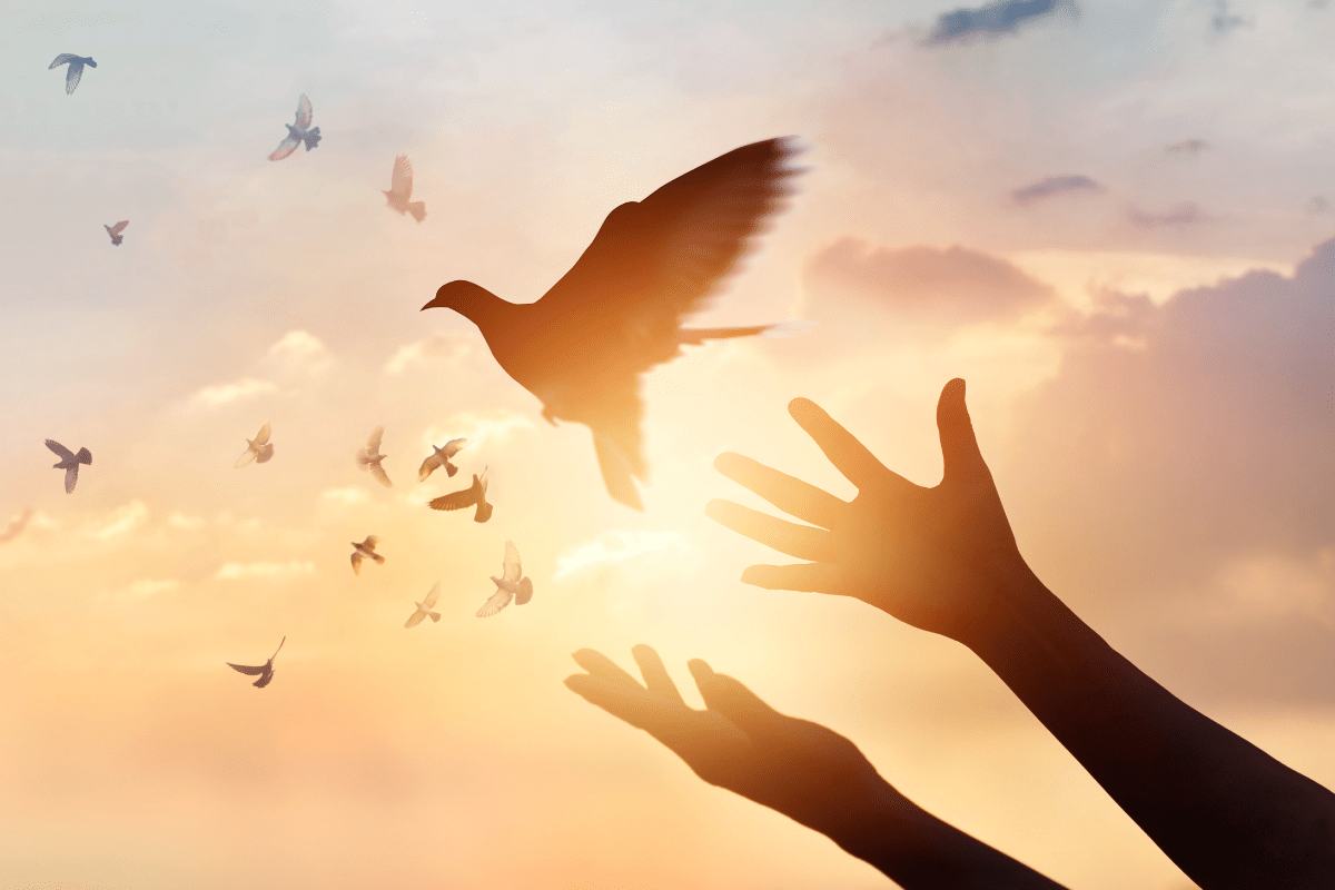 A person is reaching out to a flock of birds in the sky.