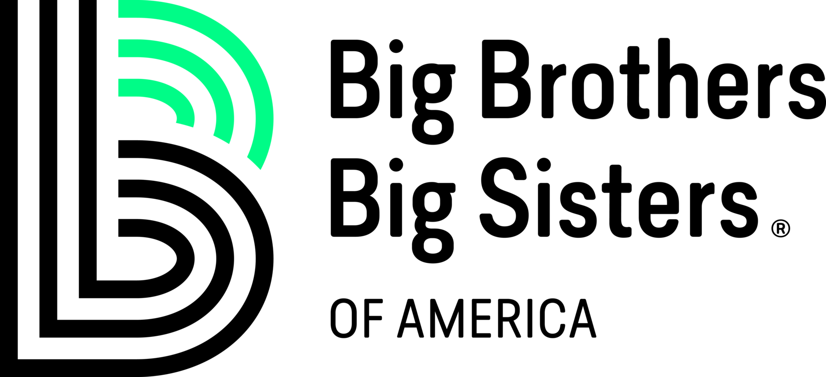 The big brothers and big sisters of america logo is black and green.