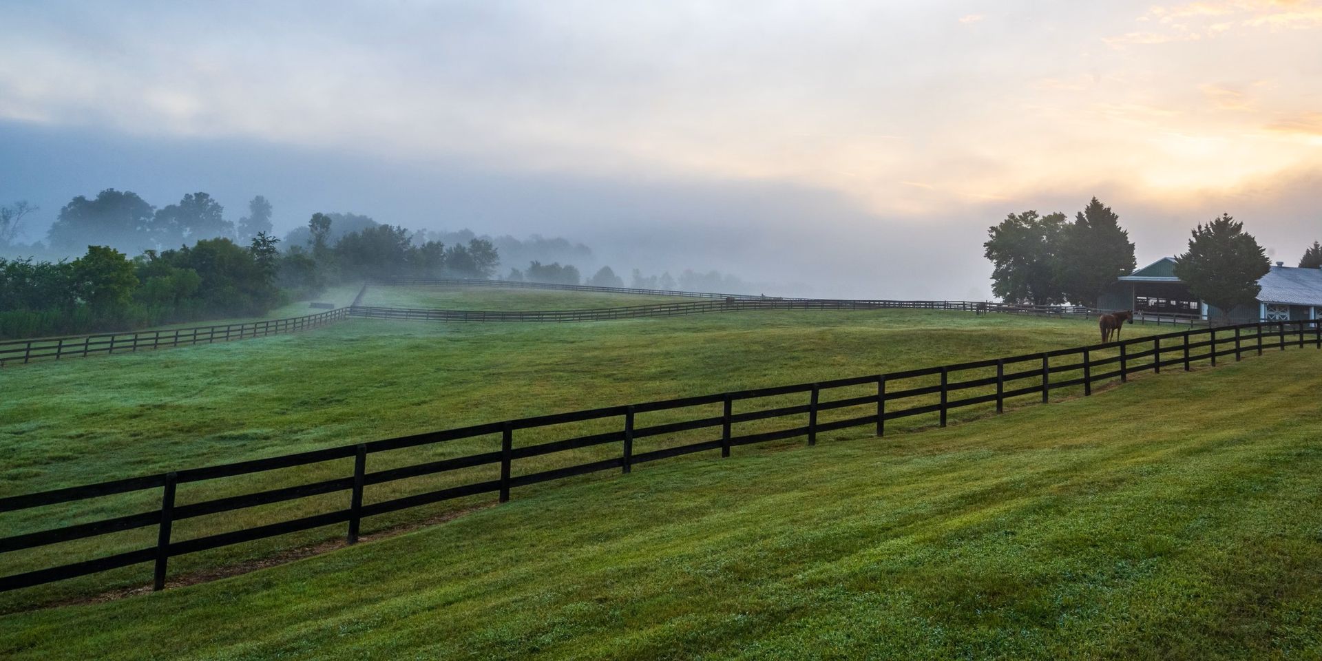 A fence surrounds a grassy field on a foggy day.