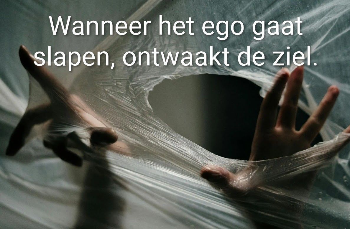 Ego-transformatie op 56: van presteren naar authentiek zijn - een spirituele reis naar innerlijke v
