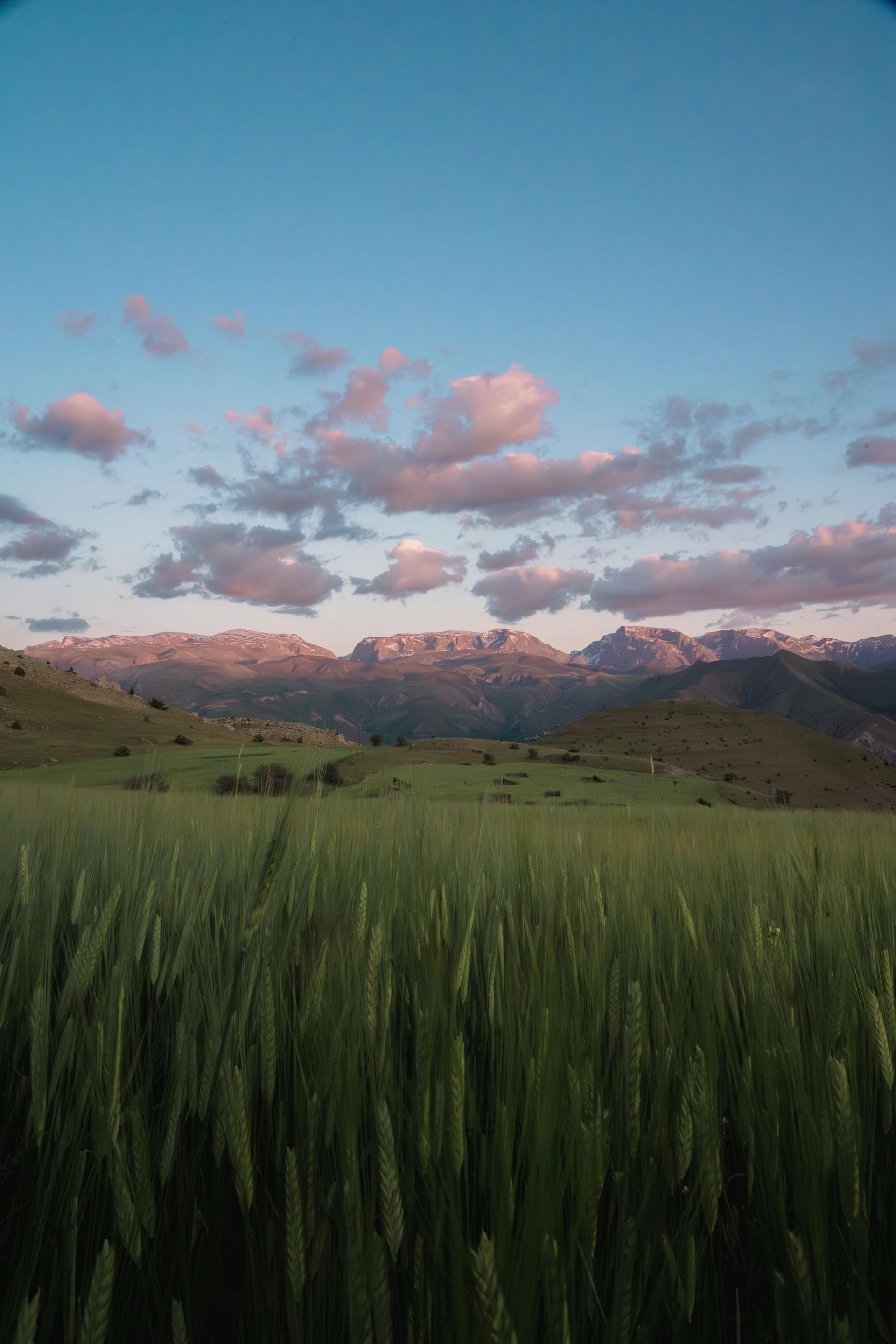 Green field with mountains in the background under a blue sky with pink clouds.