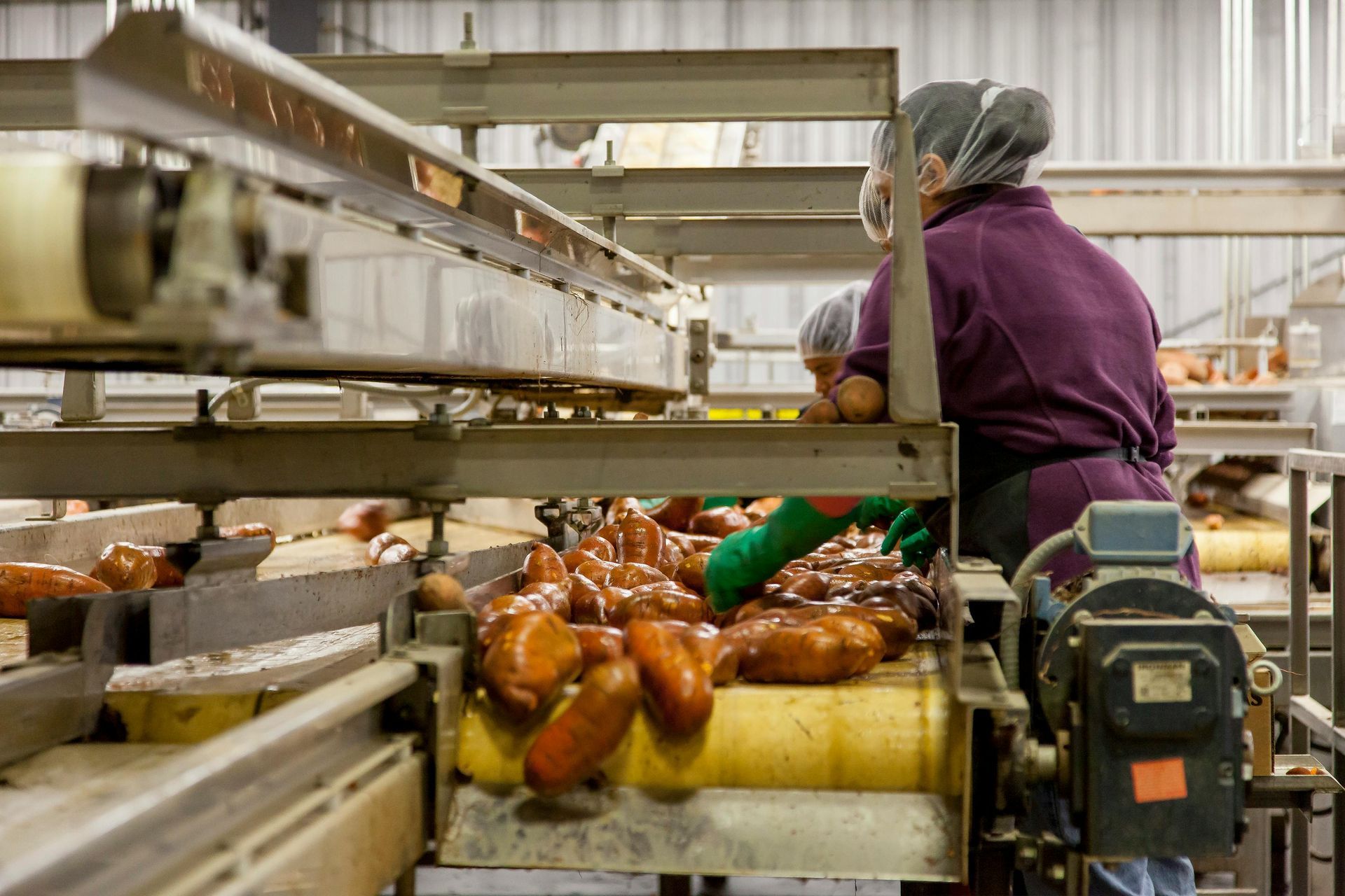A woman is working on a conveyor belt in a factory.
