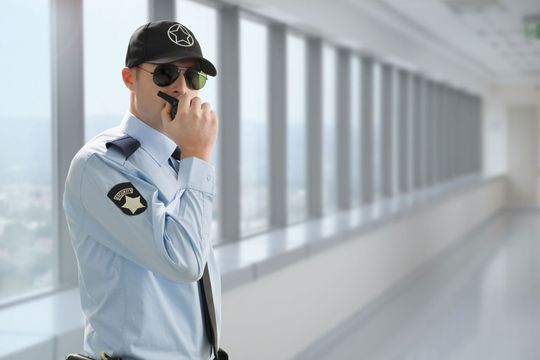 seguridad