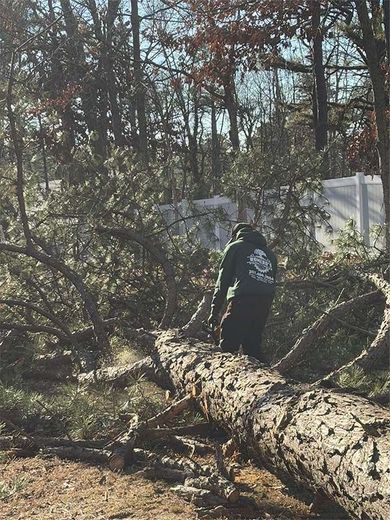 A man is using a chainsaw to cut a log in the woods.