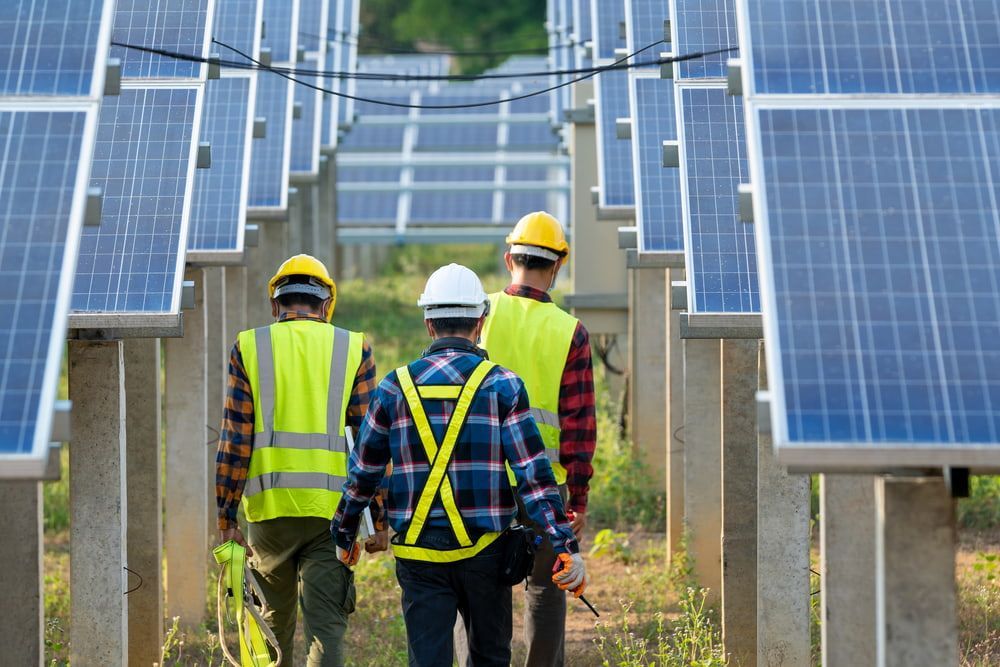 A Group Of Construction Workers Are Walking Through A Field Of Solar Panels — Lohman Contracting in Emerald, QLD