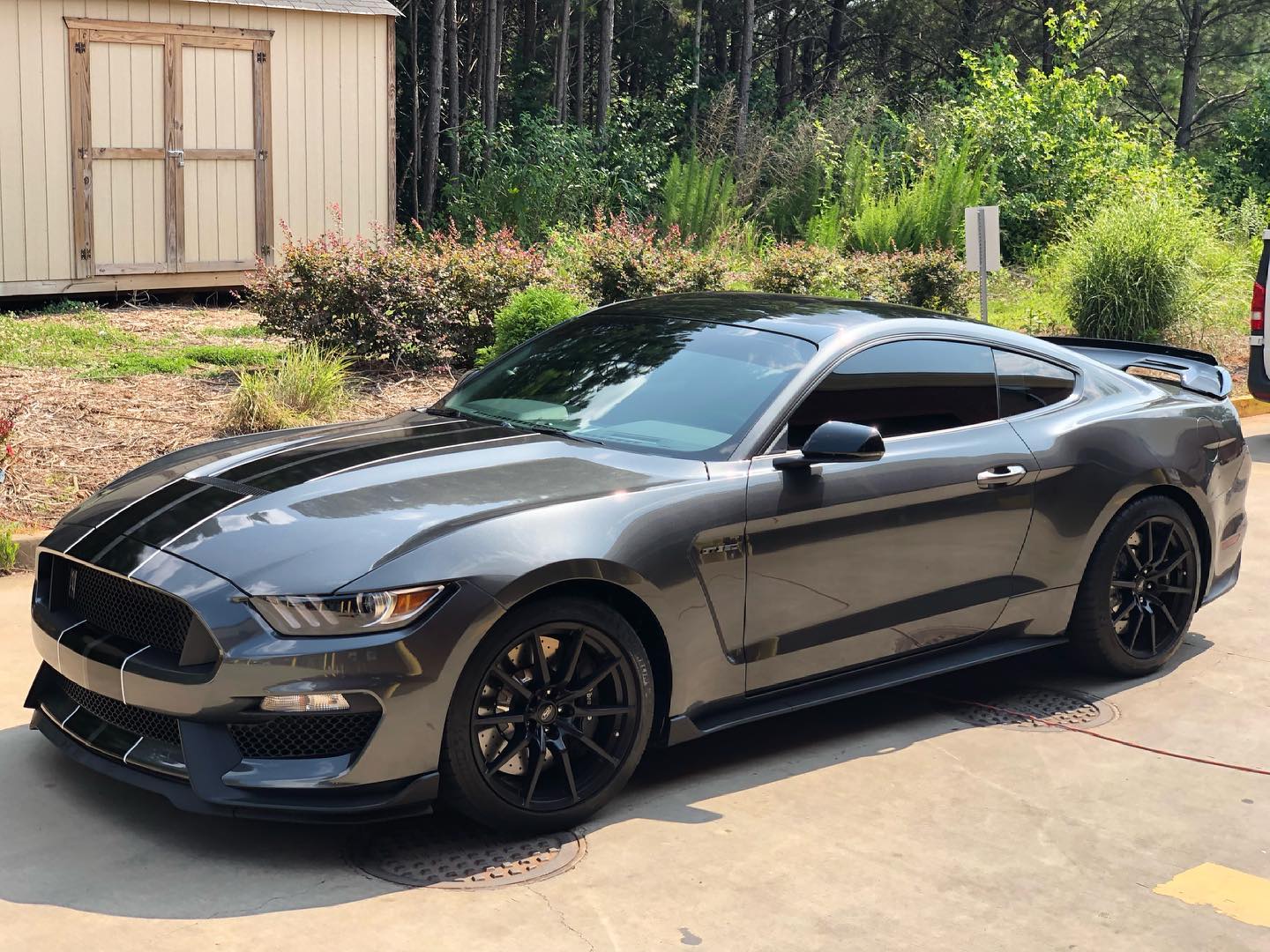 Maximum Shade Tinting Best Window Tint Buford GA & Paint Protection