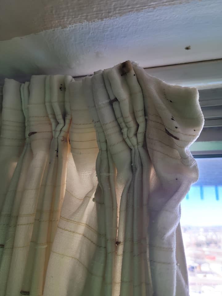 Close-up of white pleated curtains with dark spots hanging near a window, under a white ceiling.