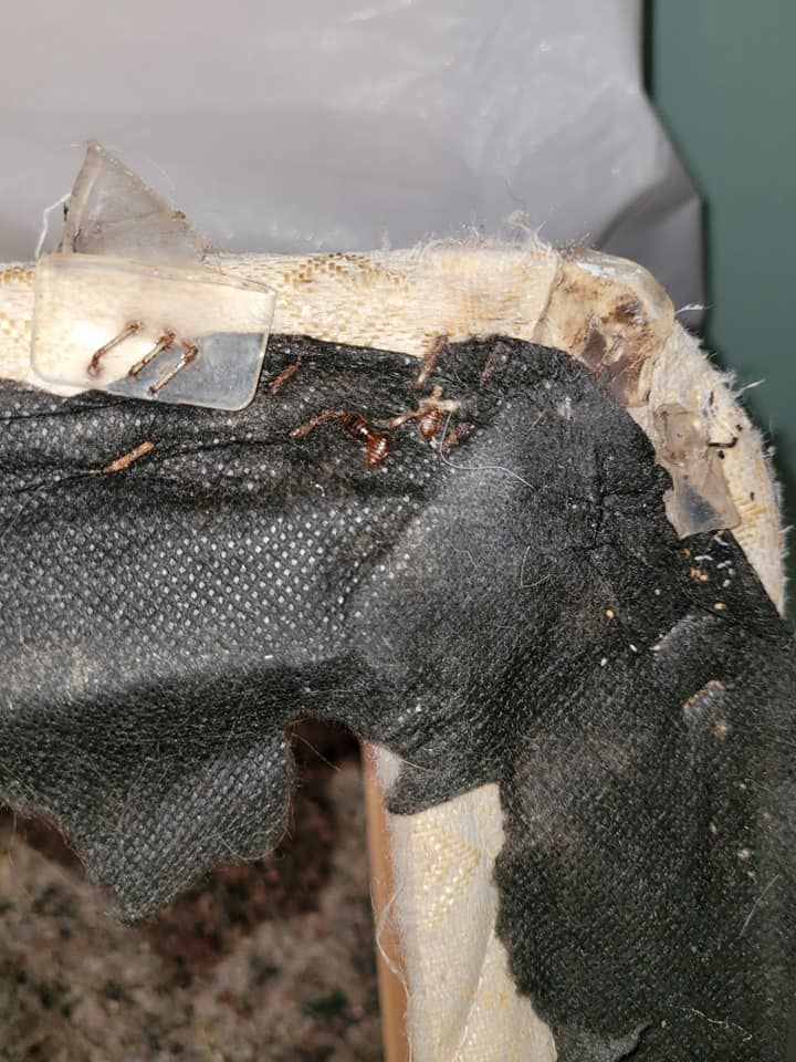 Close-up of a damaged upholstered furniture corner, revealing exposed fabric, foam, and wood frame.