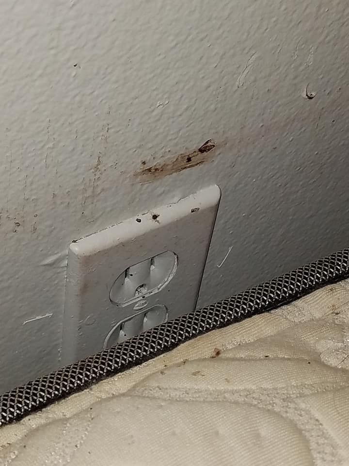 White electrical outlet on a wall with brown debris above it, next to a mattress.