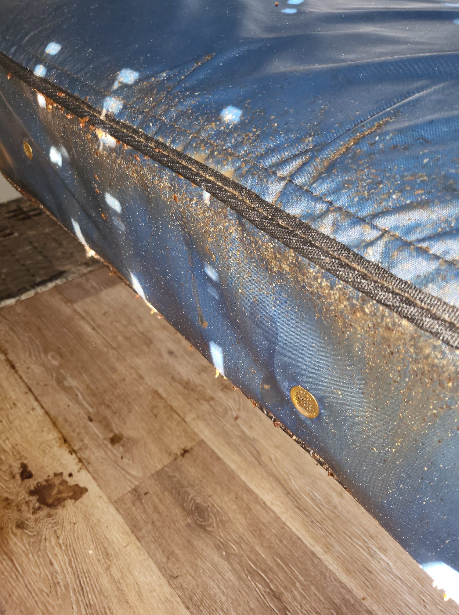 Close-up of a blue mattress with brown stains and white specks on a light brown wooden floor.