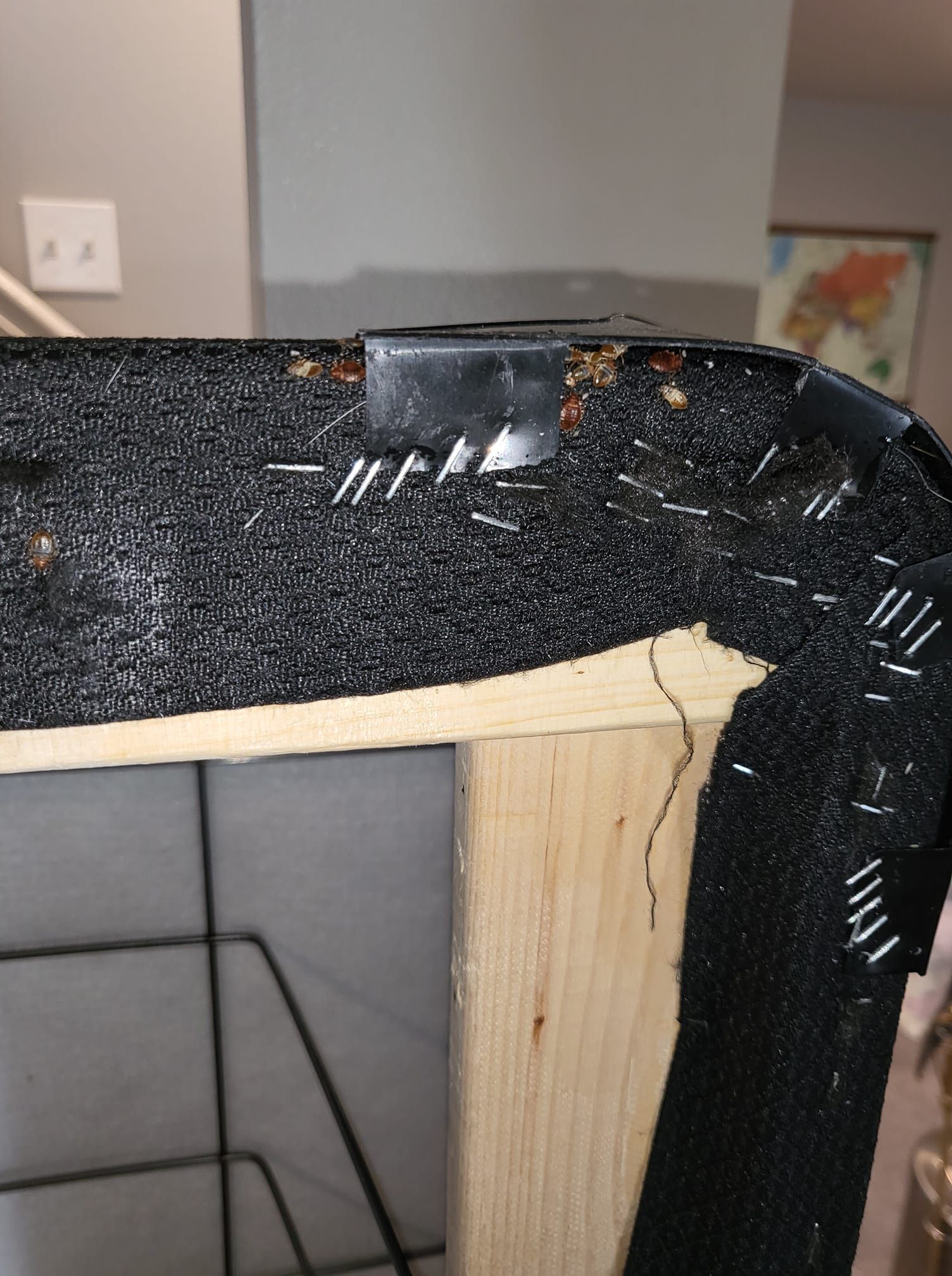 Close-up of a damaged upholstered chair corner showing staples, a cracked wooden frame, and a metal corner brace.