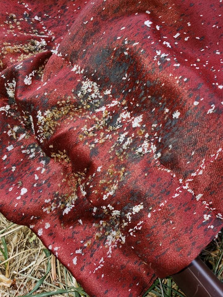 Red fabric, with scattered white and tan debris, against a green background of grass.