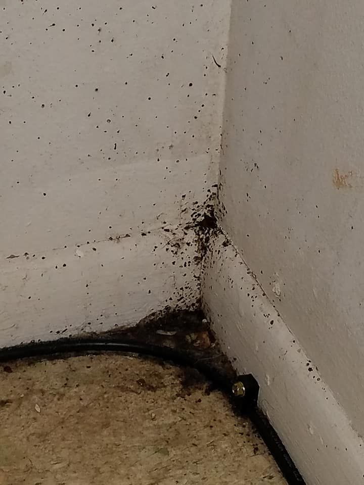 Dark debris in a corner where a baseboard meets a white wall. Black cable runs along the floor.