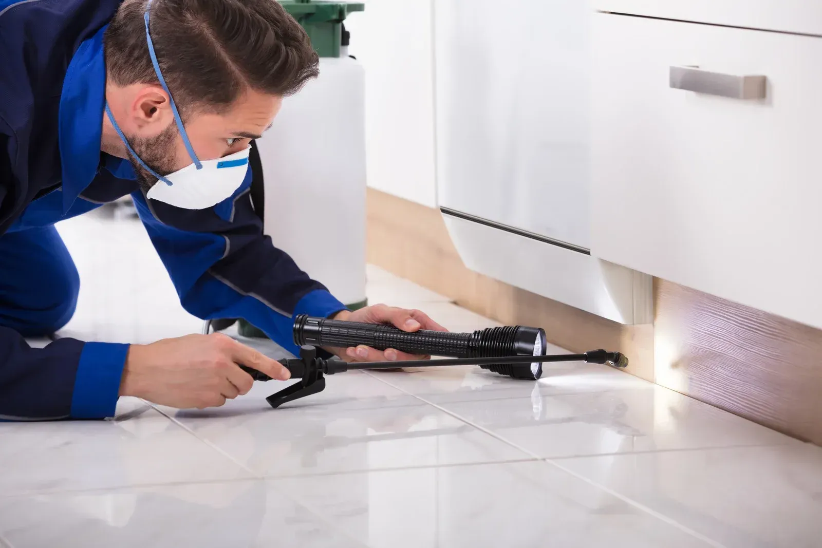 Pest control worker spraying insecticide near a kitchen cabinet with a flashlight.