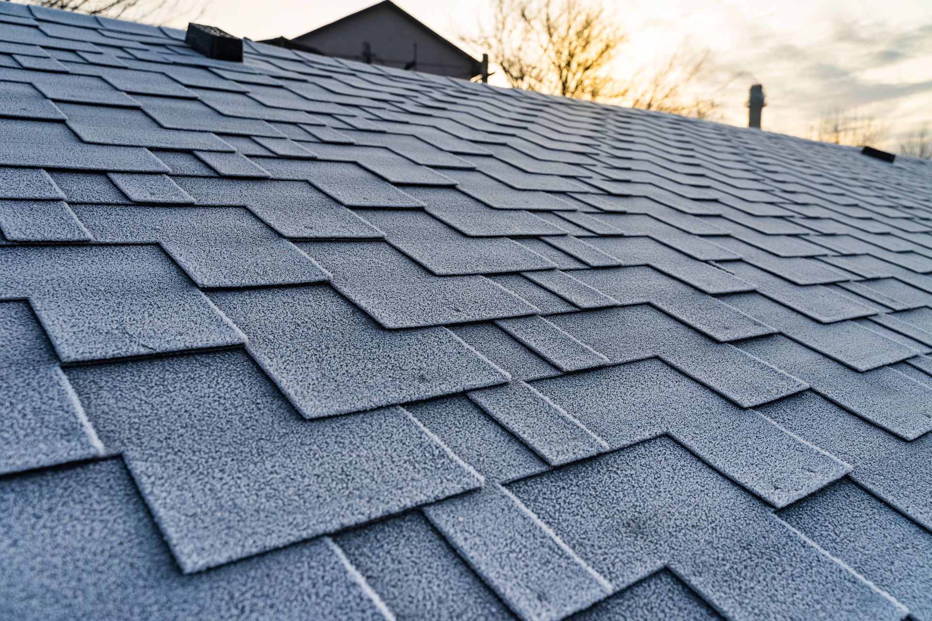 Close-up of gray asphalt roof shingles on a sloped rooftop at sunset.