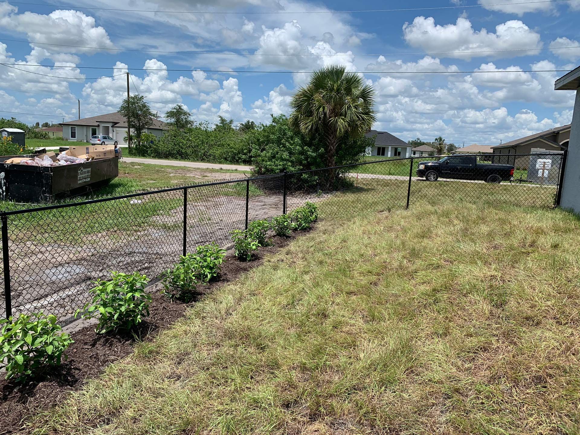 Black chain-link fence lines a yard with a row of green plants, a palm tree, and houses on a sunny day.