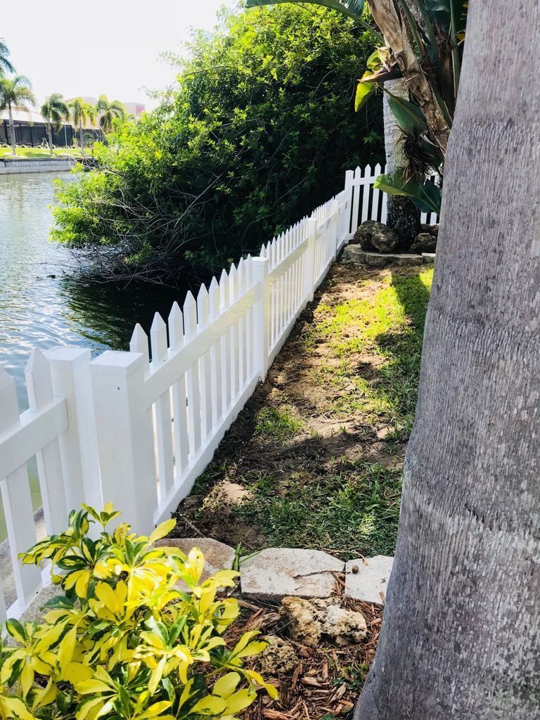 White picket fence along a waterfront, next to green foliage and a large tree trunk.