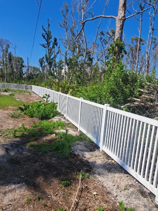 White picket fence along a grassy area, with trees and a clear blue sky in the background.