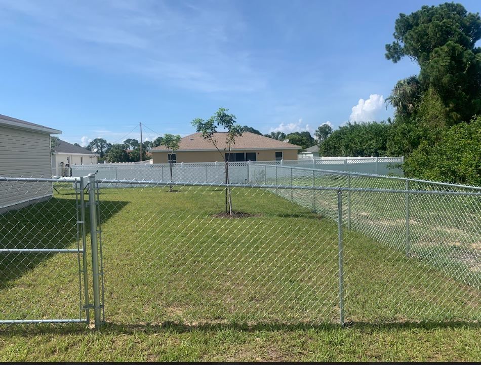 Chain-link fenced yard with a small tree. A house and trees are in the background under a blue sky.