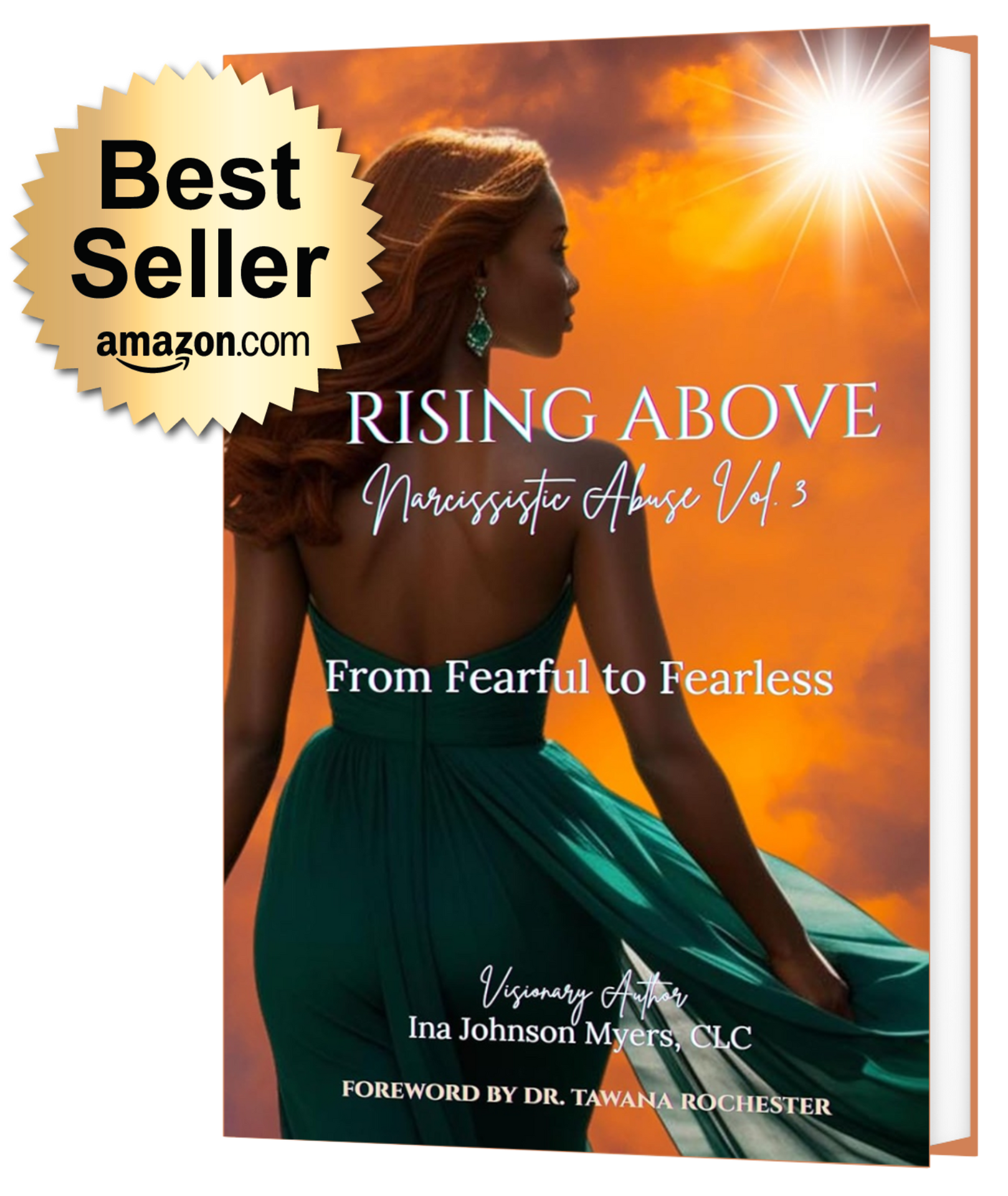 Rising Above Narcissistic Abuse Vol. 3