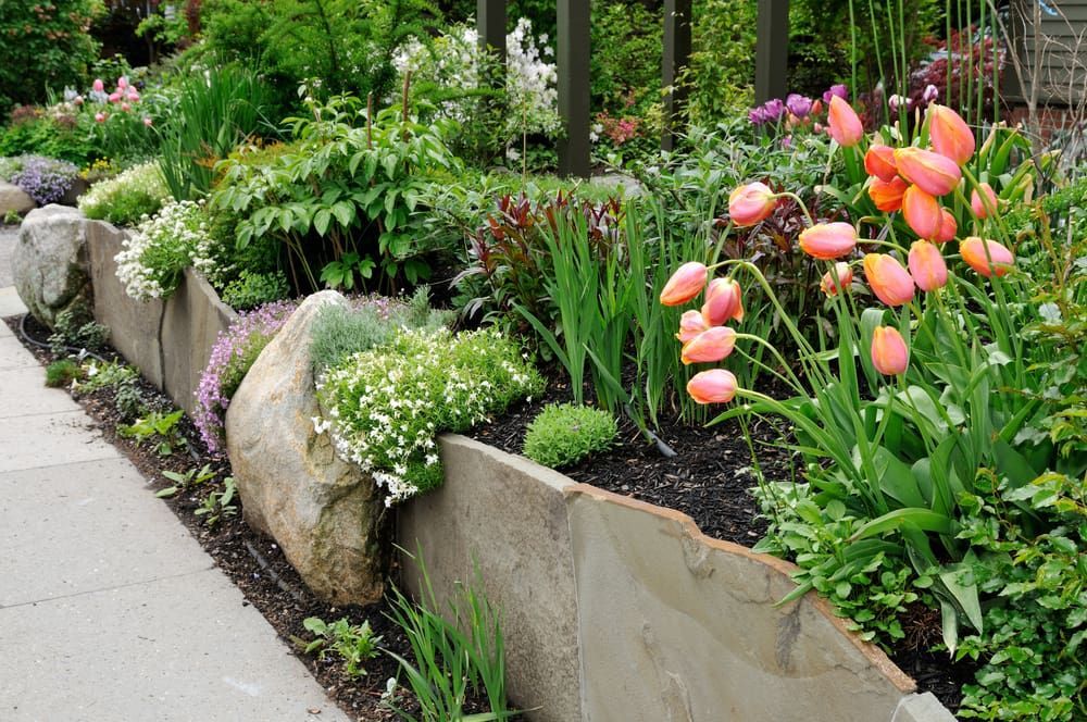 A Garden With Flowers And Rocks Along The Sidewalk — Cooroy Produce In Cooroy, QLD