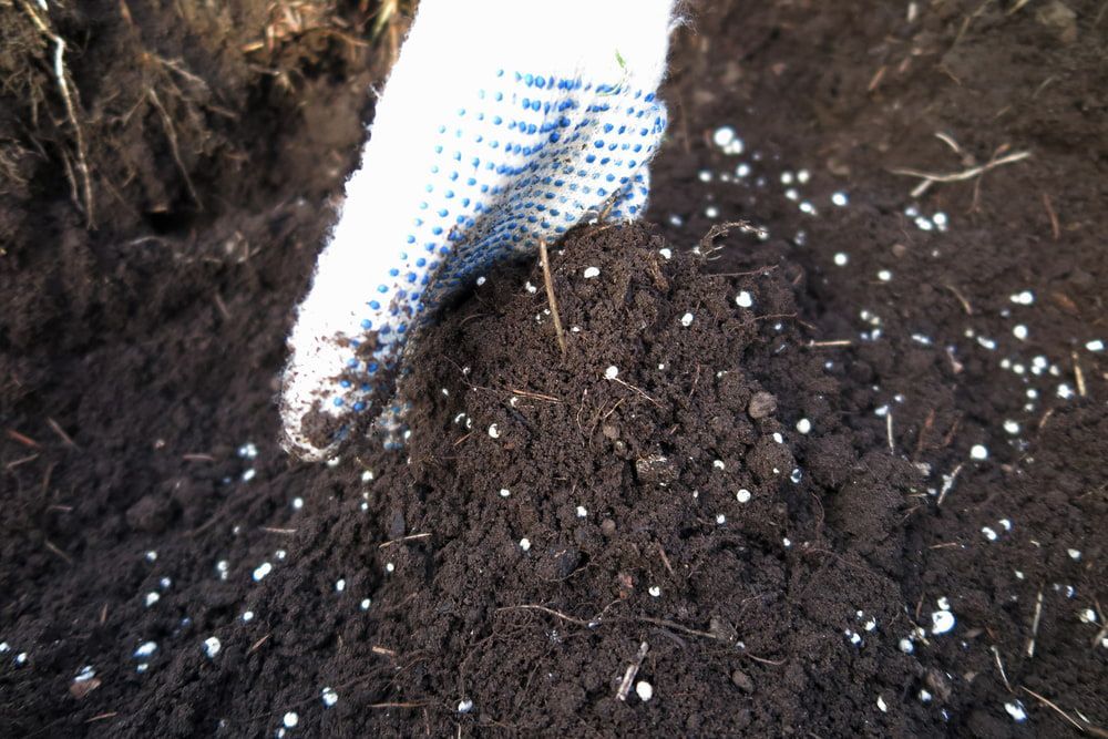 A Person Wearing Gloves Is Spreading Fertilizer On A Pile Of Dirt — Cooroy Produce In Cooroy, QLD