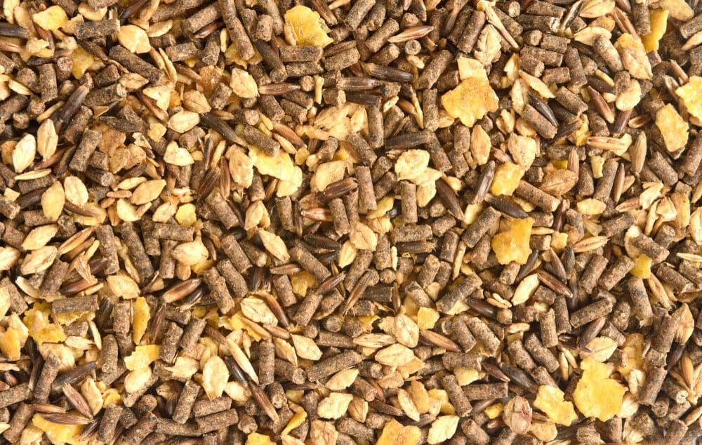 A Close Up Of A Pile Of Brown And Yellow Food — Cooroy Produce In Cooroy, QLD