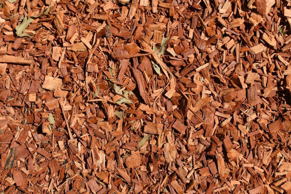 A Pile Of Brown Wood Chips On The Ground — Cooroy Produce In Cooroy, QLD